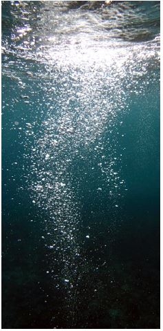 image taken underwater
