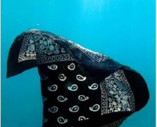 bandana underwater