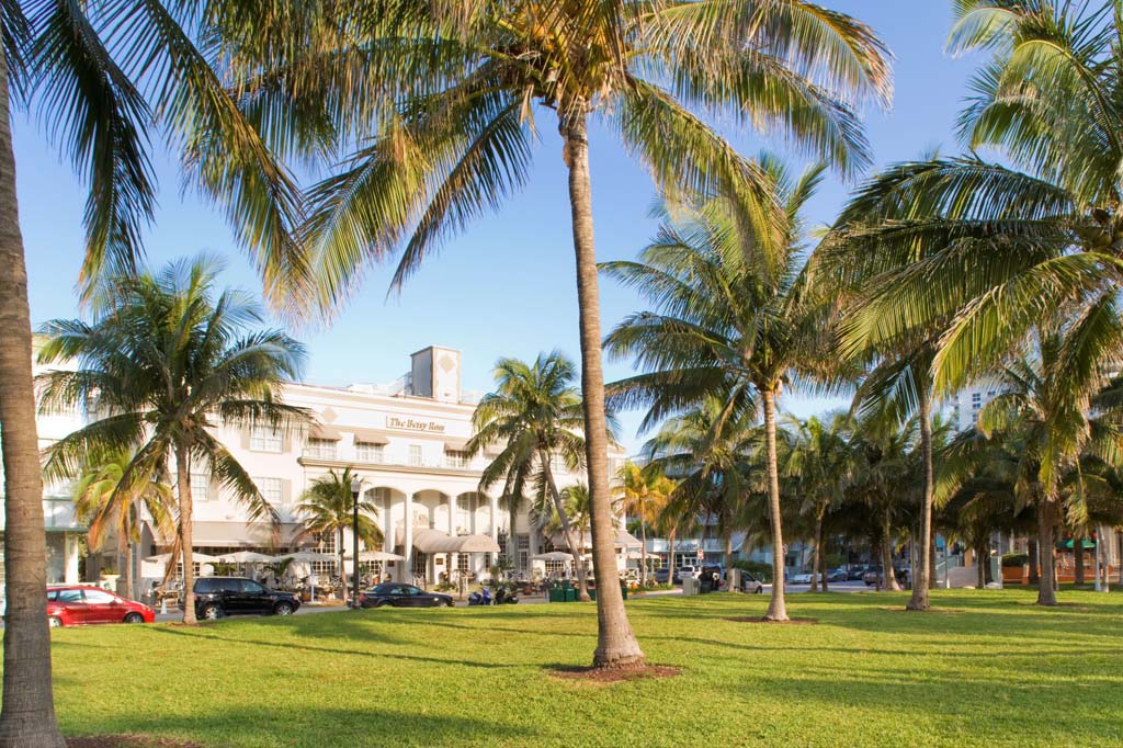 park with the betsy in the background