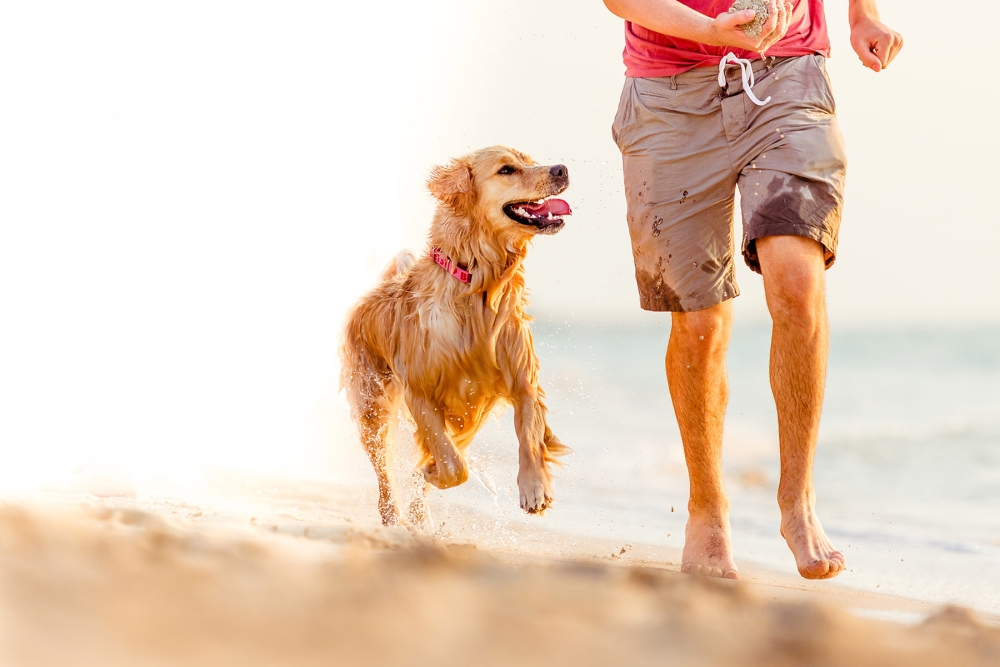 a dog running next to a man on the beach