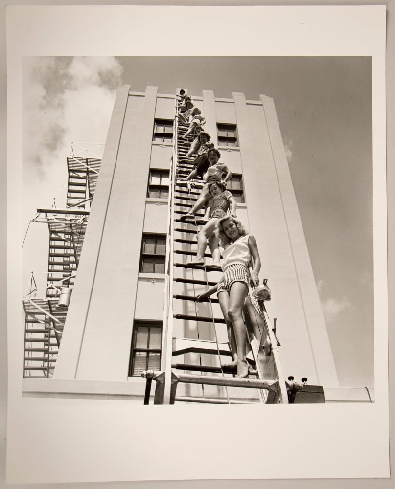 woman standing on a ladder
