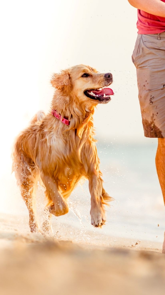 man running on beach with dog