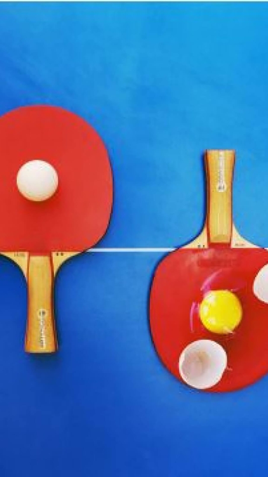 ping pong paddles