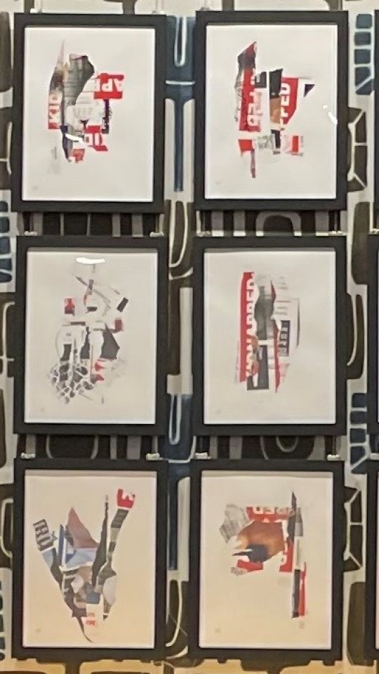 Susan Lerner Torn Project