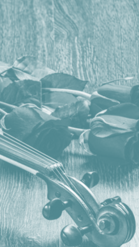 violin with roses and champagne