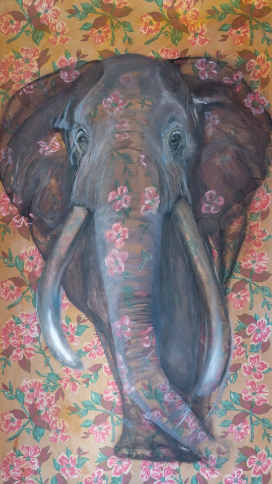 the elephant in the room