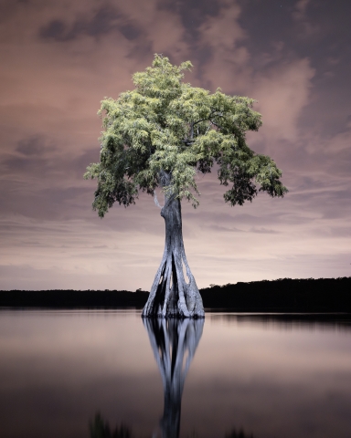 Mac Stone headwaters 23-06