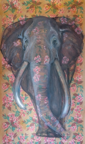 the elephant in the room