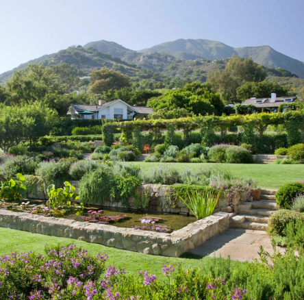 green property at a dog hotel with mountains in the background