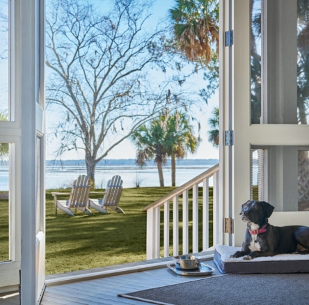 dog sitting on porch