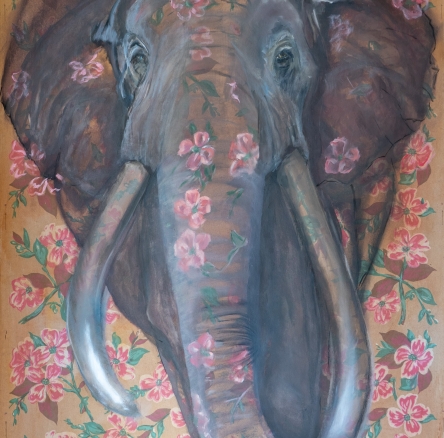 the elephant in the room