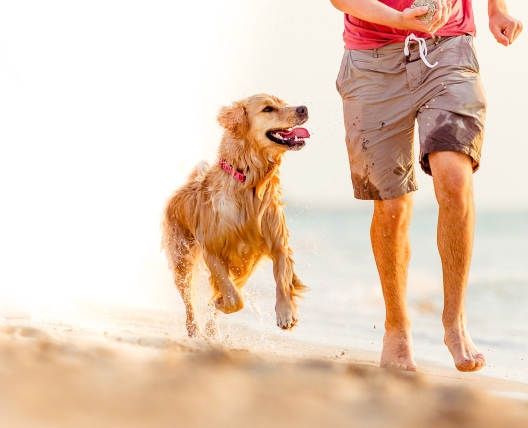a dog running next to a man on the beach