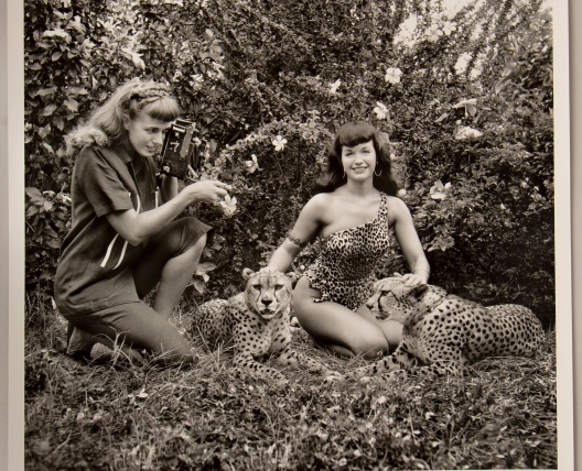 bunny and bettie sitting with cheetahs