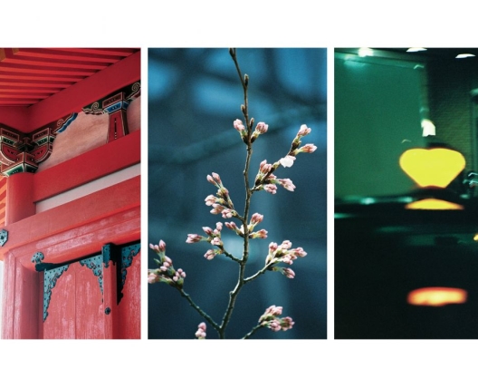 Chinatown-temple, blossom,light