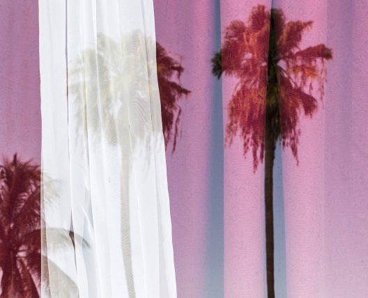 South Beach Reflection, 2017